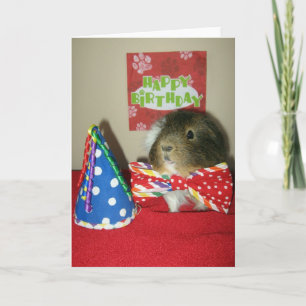 Baci's Birthday Party Kaart