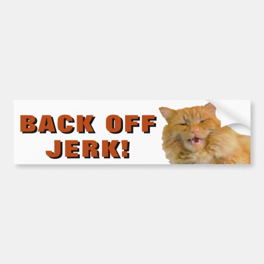 Back Off Jerk Cat Meme Bumpersticker (Voorkant)