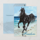 Back Stallion Arabian horse Freedom briefkaart (Voorkant / Achterkant)
