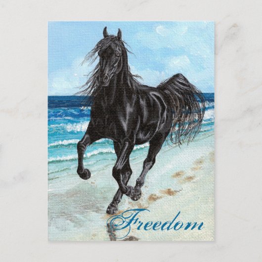 Back Stallion Arabian horse Freedom briefkaart (Voorkant)