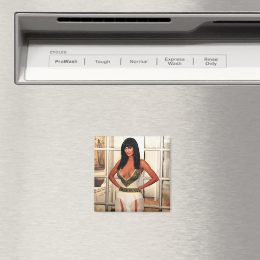 Back to That Special Place magnet (Insitu (Vaatwasser))