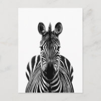 Back-upplan III