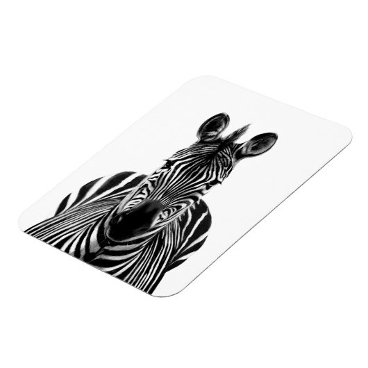 Back-upplan III Magneet (Linkerzijde)