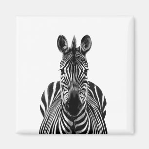 Back-upplan III Magneet