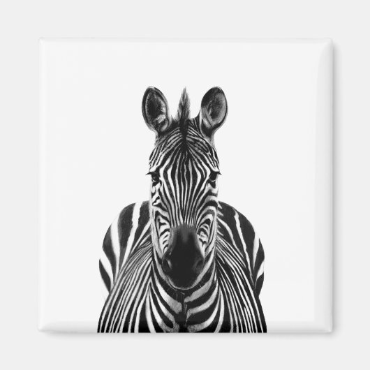 Back-upplan III Magneet (Voorkant)