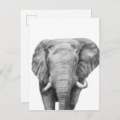 Back-upplan IV Briefkaart (Voorkant / Achterkant)