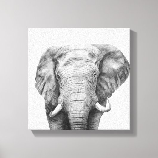 Back-upplan IV Canvas Afdruk (Voorkant)