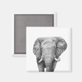 Back-upplan IV Magneet (Voorkant / Achterkant)