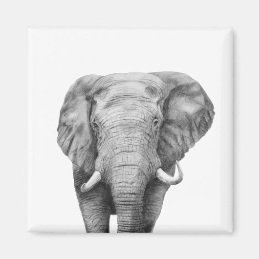 Back-upplan IV Magneet (Voorkant)