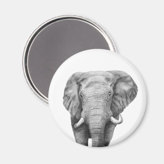 Back-upplan IV Magneet (Voorkant / Achterkant)