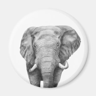 Back-upplan IV Magneet