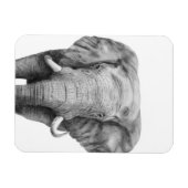 Back-upplan IV Magneet (Horizontaal)