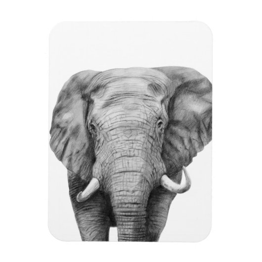 Back-upplan IV Magneet (Verticaal)