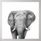 Back-upplan IV Poster (Voorkant)