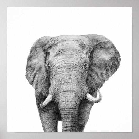 Back-upplan IV Poster (Voorkant)