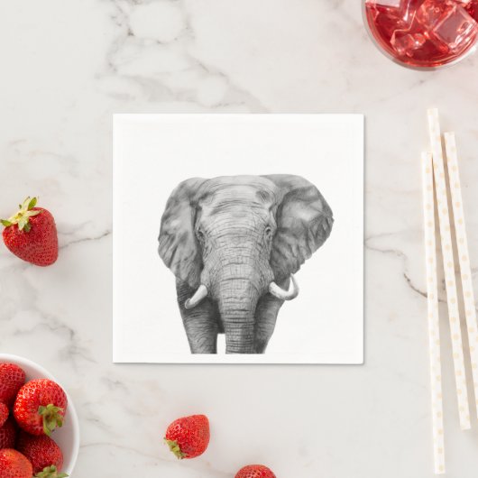 Back-upplan IV Servet (Insitu)