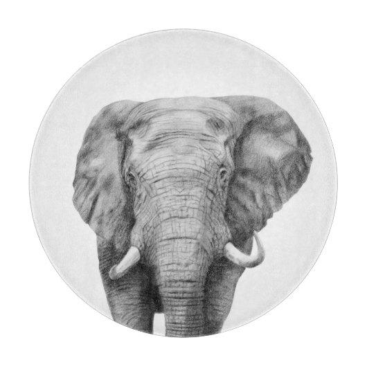 Back-upplan IV Snijplank (Voorkant)