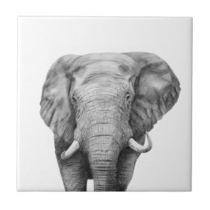 Back-upplan IV Tegeltje