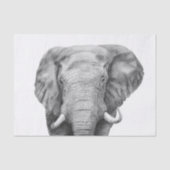 Back-upplan IV Tissuepapier (Voorkant)