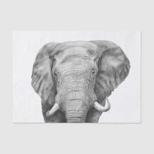 Back-upplan IV Tissuepapier (Voorkant)