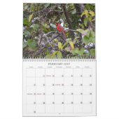 Back Yard Birds Calendar Kalender (Feb 2027)