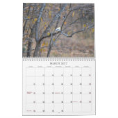 Back Yard Birds Calendar Kalender (Mar 2027)