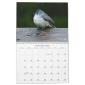 Back Yard Birds Calendar Kalender (Jan 2026)