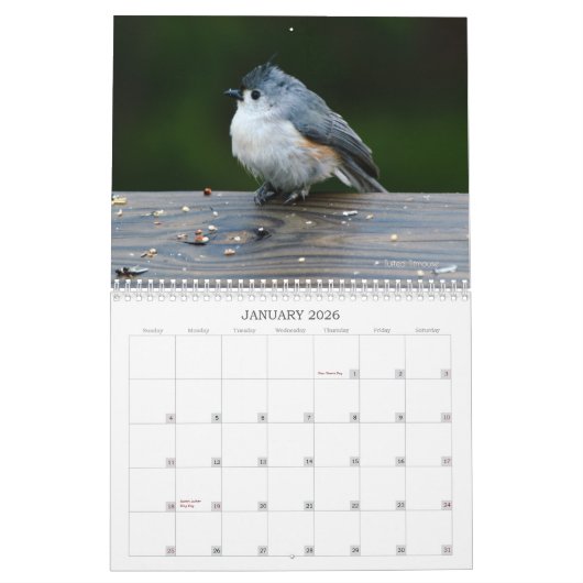 Back Yard Birds Calendar Kalender (Jan 2026)