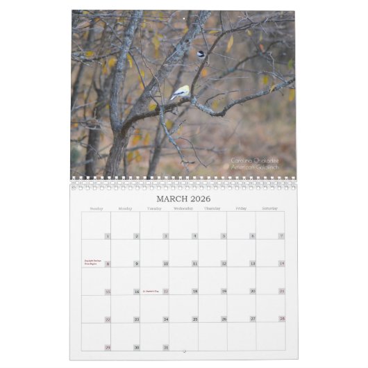 Back Yard Birds Calendar Kalender (Mar 2026)