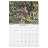 Back Yard Birds Calendar Kalender (Feb 2026)