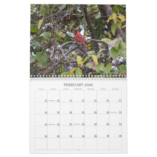 Back Yard Birds Calendar Kalender (Feb 2026)