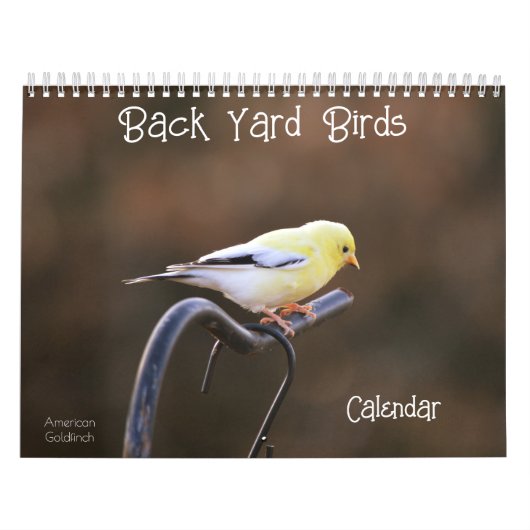 Back Yard Birds Calendar Kalender (Hoes)