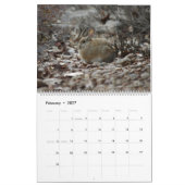 Back Yard Bunnies 2019 fotokalender Kalender (Feb 2027)