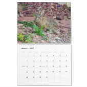 Back Yard Bunnies 2019 fotokalender Kalender (Mar 2027)