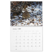 Back Yard Bunnies 2019 fotokalender Kalender (Jan 2027)