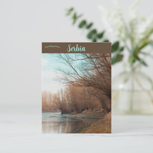 Backa Palanka Serbia Briefkaart (Staand voorkant)