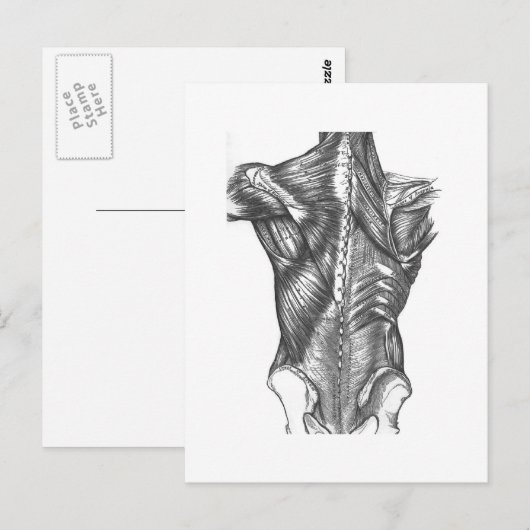 -backanatomie briefkaart (Voorkant / Achterkant)