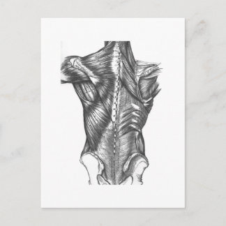 -backanatomie briefkaart
