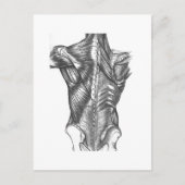 -backanatomie briefkaart (Voorkant)