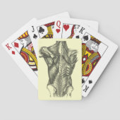 -backanatomie pokerkaarten (Achterkant)