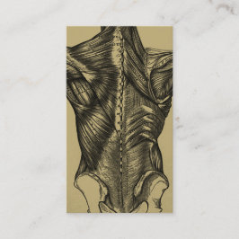 -backanatomie-Visitekaartjes Visitekaartje