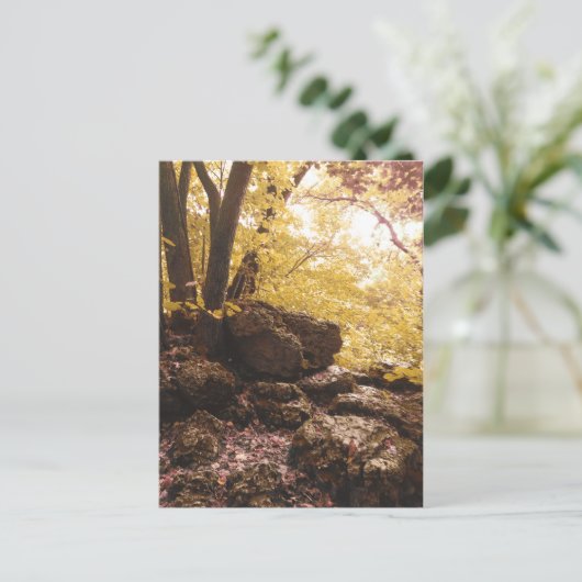 backbone state park iowa briefkaart (Staand voorkant)