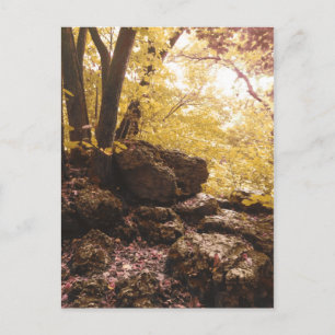 backbone state park iowa briefkaart