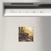 backbone state park iowa magneet (Insitu (Vaatwasser))