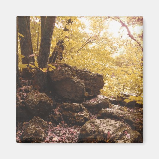 backbone state park iowa magneet (Voorkant)