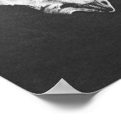 Backbone Vertebrae Anatomy Print no.2 (Hoek)