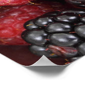 Background Forest Fruit Poster (Hoek)