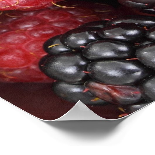 Background Forest Fruit Poster (Hoek)