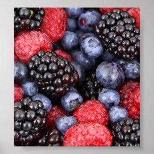 Background Forest Fruit Poster