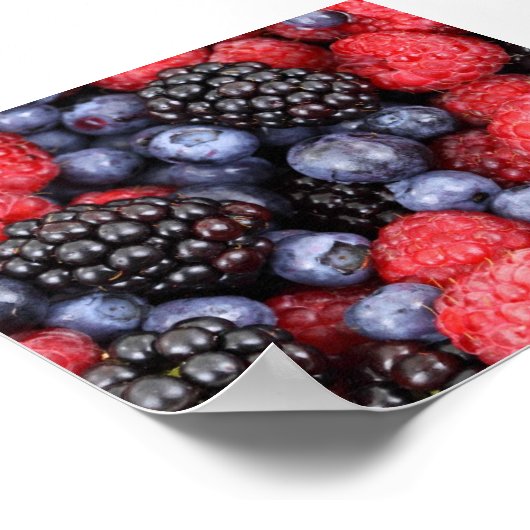 Background Forest Fruit Poster (Hoek)